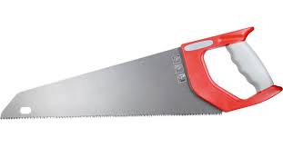 Image result for Fuchsschwanz