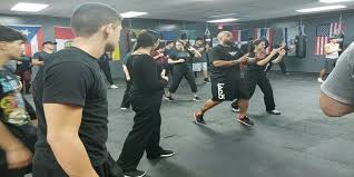 Image result for Professional  Martial Arts Academy