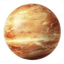 Image result for venus