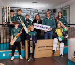 Image result for North Down Cricket Club