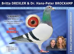 Golden Breeder - Britta Drexler und Dr. Hans-Peter Brockamp. Wir präsentieren das Buch \u0026quot;Hall of Fame\u0026quot;.