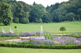 Image result for Reigate Priory Athletics Club