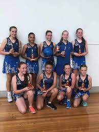 Image result for Waverley Netball Club