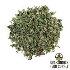 Attēlu rezultāti vaicājumam “Urtica dioica leaf”