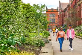 Image result for Newcastle University