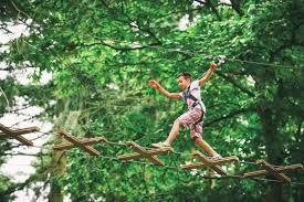 Image result for The Go Ape Experience (Swinley Forest)