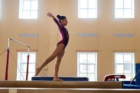 Image result for Blandford Forum Gymnastics & Kanga Club