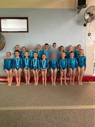Image result for Uckfield Gymnastics Club