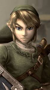 Image result for link twilight princess