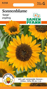 Image result for Sonnenblume