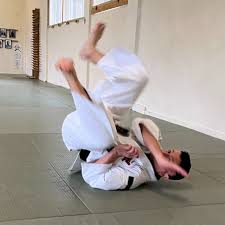 Image result for University of Bristol Shorinji Kempo Club