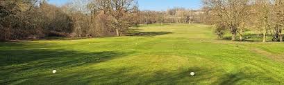 Image result for Pachesham Park Golf Centre