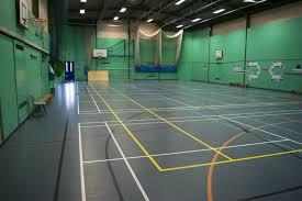 Image result for Hounslow Manor Badminton Club
