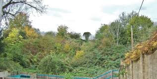 Image result for Coombe Bissett and Homington Badminton Club