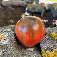 Afbeeldingsresultaat voor black oxheart tomato