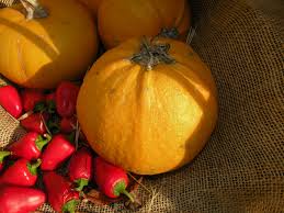 Attēlu rezultāti vaicājumam “Cucurbita pepo fruit”