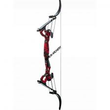 Image result for Osprey Archery Club