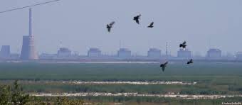 Image result for alnopol