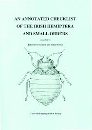 Attēlu rezultāti vaicājumam “Blepharidopterus angulatus imago”