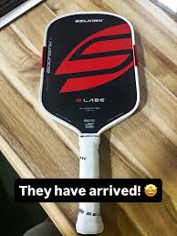 Image result for Cedars Badminton Club