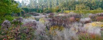 Image result for Piet Oudolf