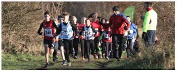 Image result for Billingham Marsh House Harriers