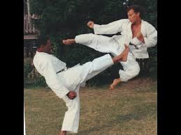 Image result for Zen Shin Seicho Do Adult Karate