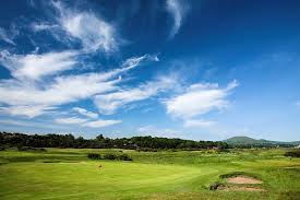 Image result for Vale Of Leven Golf Club