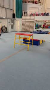 Image result for Bulmershe Gymnastics Club