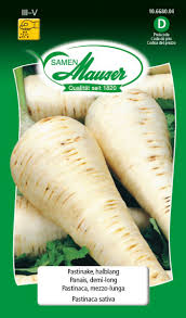 Image result for Pastinake