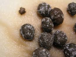 Attēlu rezultāti vaicājumam “Sordaria fimicola”