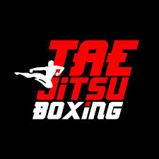 Image result for Tae-jitsu
