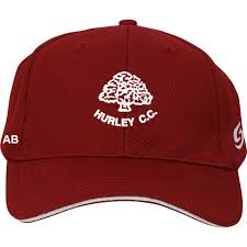 Image result for Hurley Cricket Club