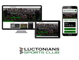 Image result for Luctonians Cricket Club
