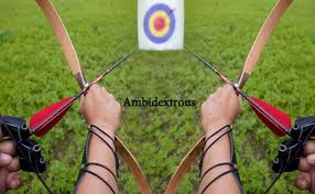 Image result for Taverham Archers