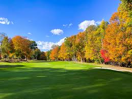 Image result for New Northampton Club