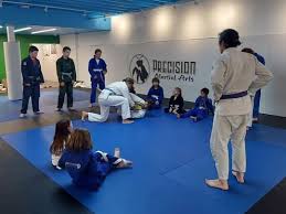 Image result for Precision Martial Arts