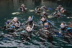 Image result for Great Western Divers