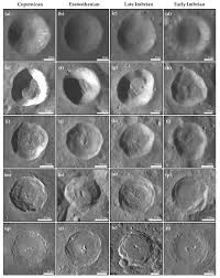 Attēlu rezultāti vaicājumam “Craterium minutum cf. var. brunneum macro”
