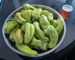 Afbeeldingsresultaat voor aconcagua sweet pepper