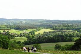 Image result for Guildford Orienteers
