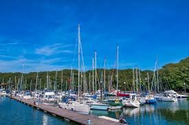Image result for Neyland Yacht Club