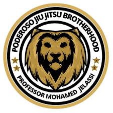 Image result for Bilsborrow Ju Jitsu Club