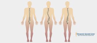 Image result for Curves