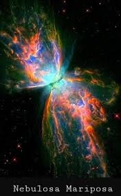 Attēlu rezultāti vaicājumam “Leptophlebia nebulosa”