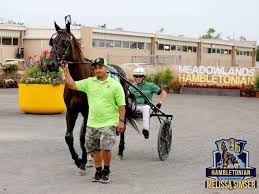 Image result for Haydock Hunters Speedminton Club