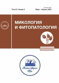 Attēlu rezultāti vaicājumam “Sphacelotheca hydropiperis”