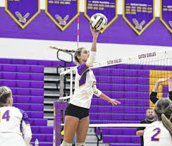 Image result for Eaton Eagles Badminton Club