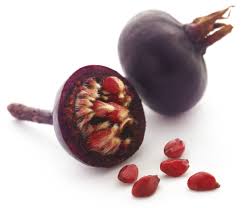 Attēlu rezultāti vaicājumam “Rosa majalis fruit”