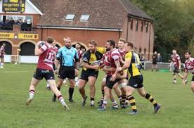 Image result for Braintree Rugby Football Club